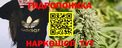 ALPHA PVP Малоярославец