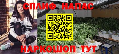 ALPHA PVP Малоярославец