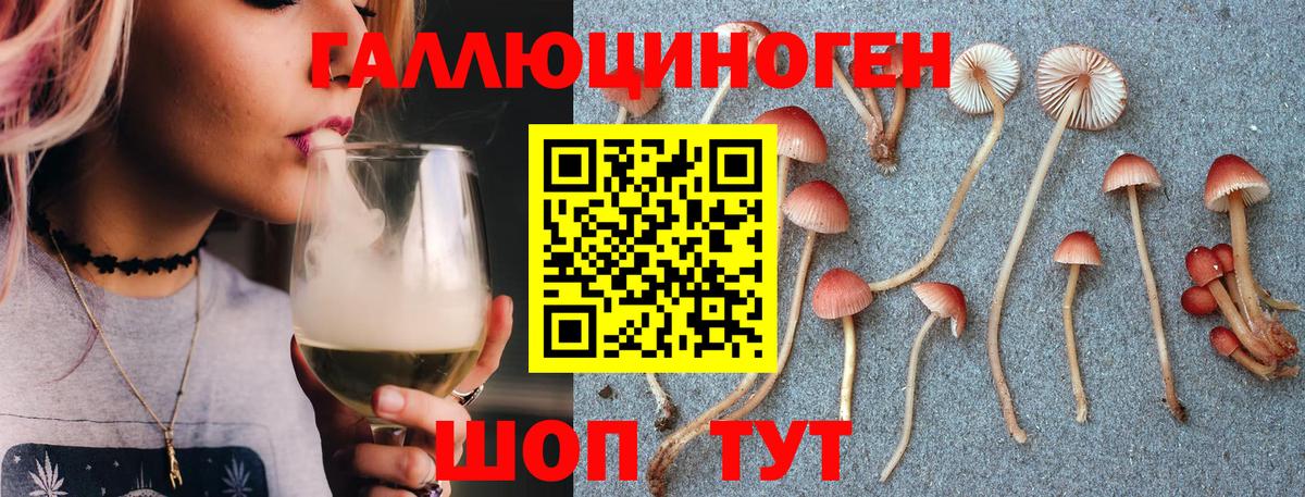 Псилоцибиновые грибы ЛСД Джанкой
