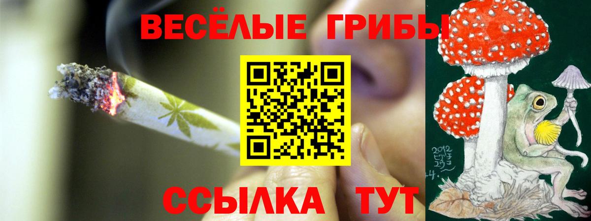 Джанкой  Псилоцибиновые грибы Psilocybe  Вход с VPN 